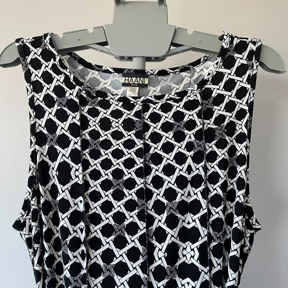 Haani Fit and Flare Panel Dress with Belt. Black & White. PXL Plus Size - Picture 3 of 11